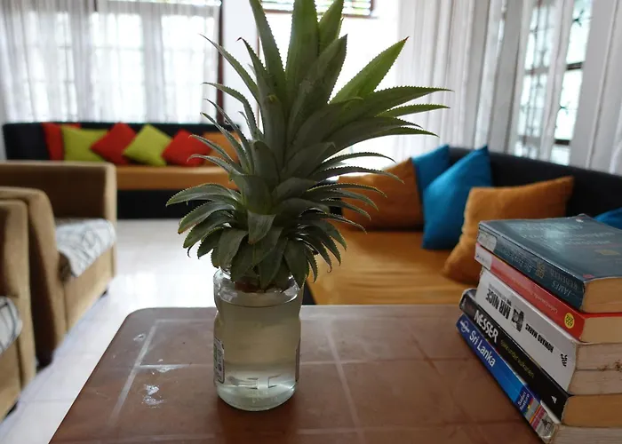 Coco Mango Hostel